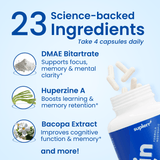 Load image into Gallery viewer, brain focus®